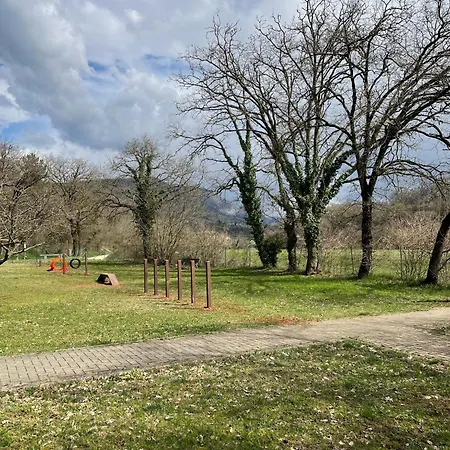 Bran & Denise Costermano