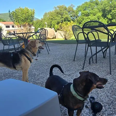 Bran & Denise Costermano